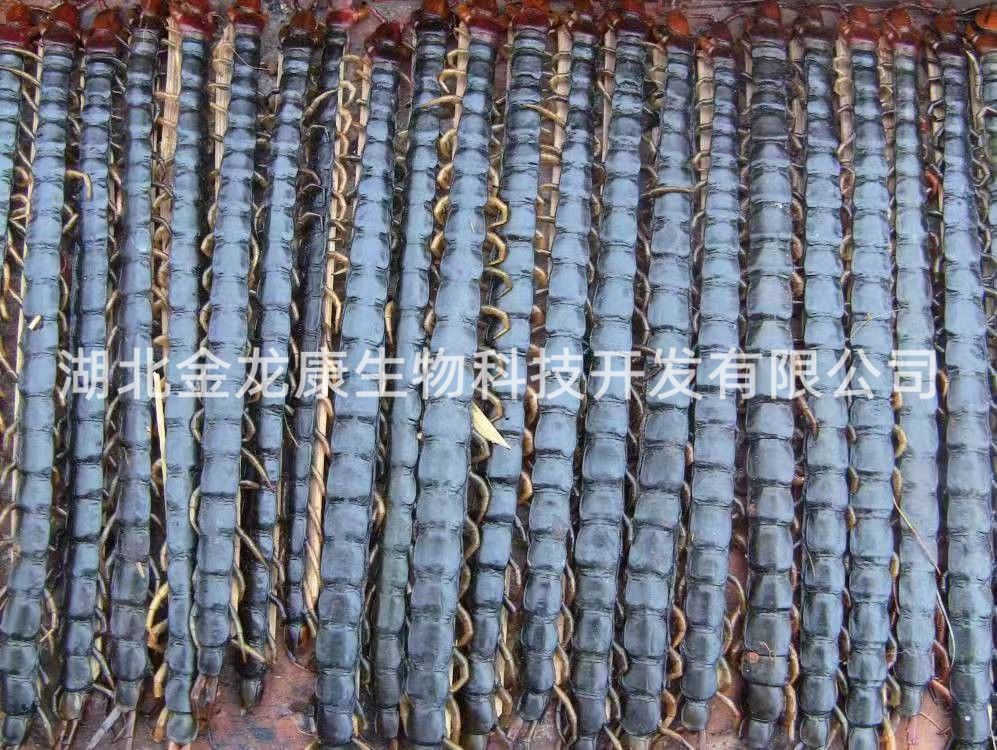 蜈蚣怎么加工呢？品質(zhì)有什么要求？